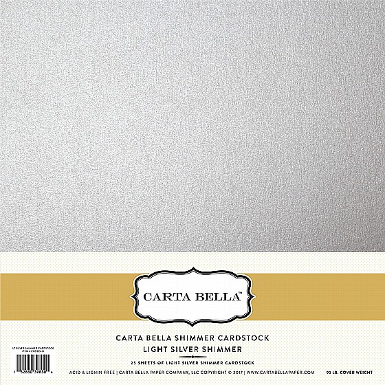 ����� �������� ���� ����� ���� LIGHT SILVER SHIMMER CARDSTOCK