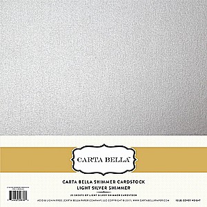 ����� �������� ���� ����� ���� LIGHT SILVER SHIMMER CARDSTOCK