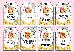 ���������� ������ ������ 2021 - 2022