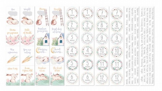 ���� ��� �������� ������� 12*12 ���� SWEET BUNNY