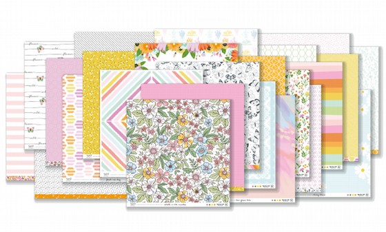 ���� ����� ������ �� Hip Kit Club 
