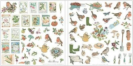 ���� ��� �������� Little Robin Redbreast - Premium Paper Pad