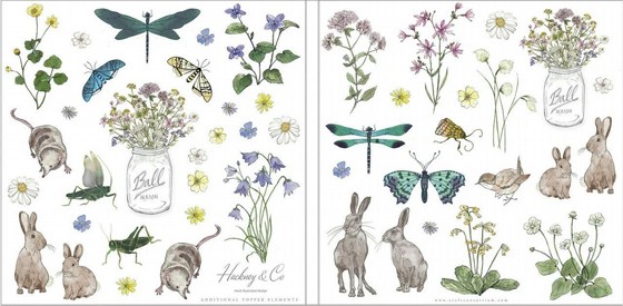 ���� ��� ��������  Wildflower Meadow - Special Edition - 6x6 Premium Paper Pad
