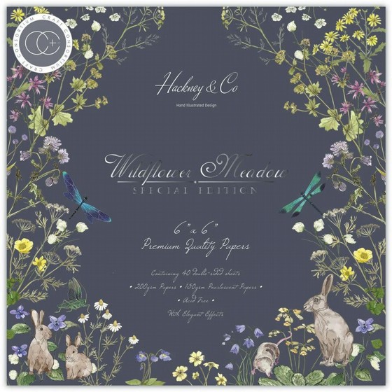 ���� ��� ��������  Wildflower Meadow - Special Edition - 6x6 Premium Paper Pad