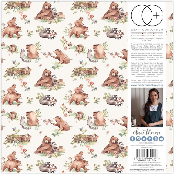 ���� ��� ��������  In the Forest - 6"x6" Premium Paper Pad
