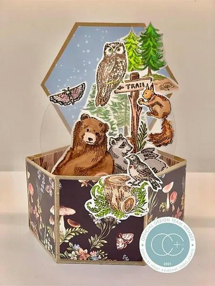 ���� ������ ��������  In the Forest - Bear - Stamp Set