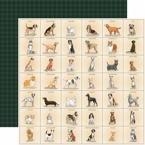 דף קארדסטוק מעוצב 12*12 אינץ' מסדרת Best In Show - Best Friend Breeds 12x12 Patterned Paper דף קארדסטוק מעוצב 12*12 אינץ' מסדרת Best In Show - Best Friend Breeds 12x12 Patterned Paper