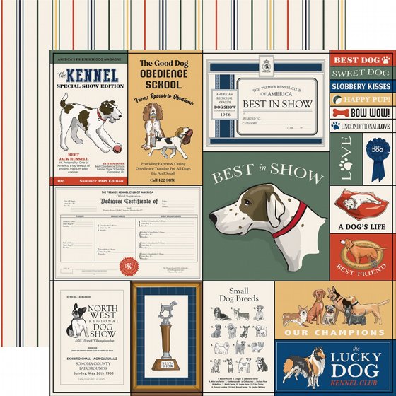 �� �������� ����� 12*12 ���� ����� Best In Show Multi Journaling Cards 