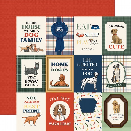 �� �������� ����� 12*12 ���� �����  Best In Show  3x4 Journaling Cards 12x12 