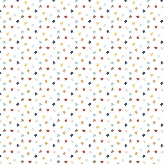 �� �������� ����� �� ���� 12*12 ���� ����� Baby On Board Boy Collection 12 x 12 Double Sided Paper  ItS A Boy Essentials