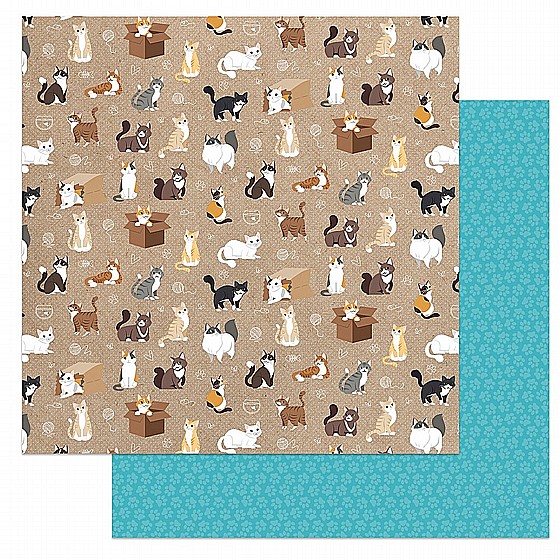 Cat Lover Collection - 12 x 12 Double Sided Paper - Soft Kitty