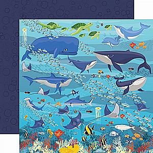 Underwater Scene Underwater Scene