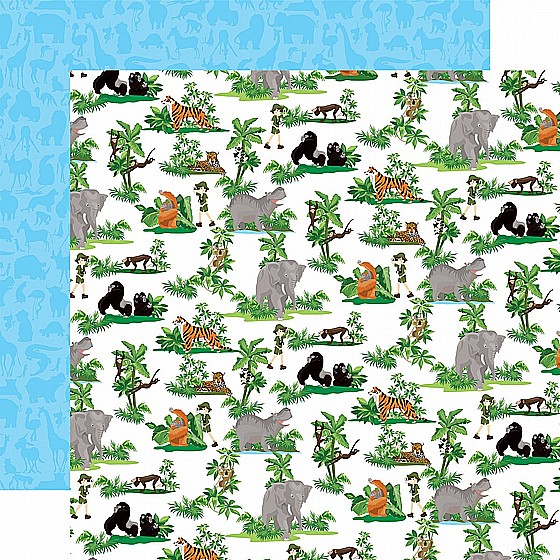 Jungle Animals