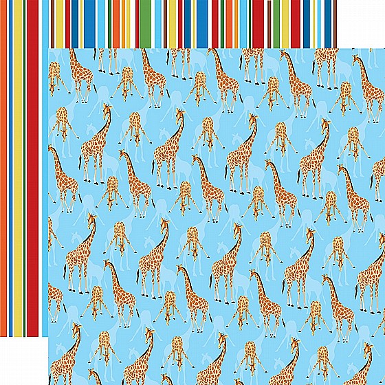 Giraffes