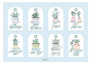 ����� - ����� ��������� 