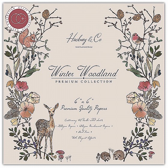 ���� ��� ��������  Winter Woodland 6"x6" Premium Paper Pad