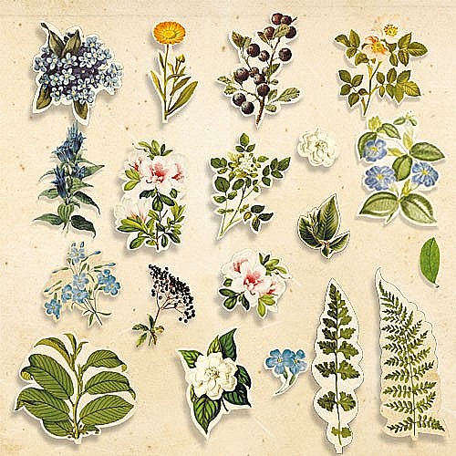  Botany summer collection