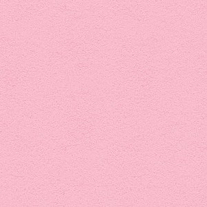 BALLERINA PINK BALLERINA PINK