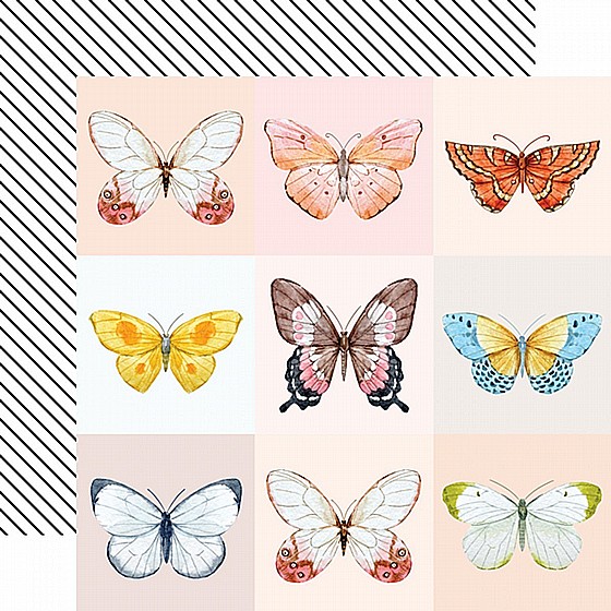 BUTTERFLY