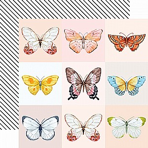 BUTTERFLY